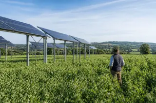 Champ agricole de la Loire avec cultures vertes, panneaux solaires surélevés et agriculteur observant la parcelle sous un ciel bleu.